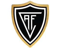 Académico de Viseu