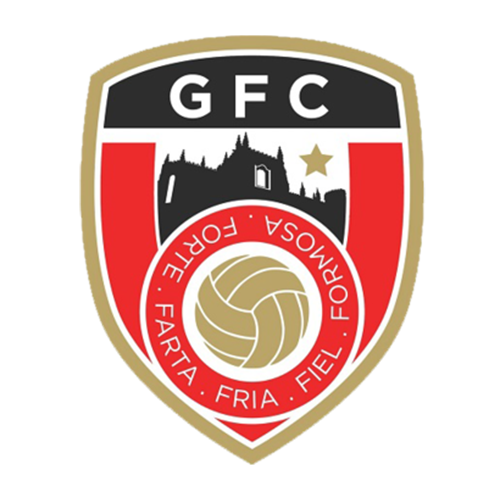 Guarda FC, Futebol SAD
