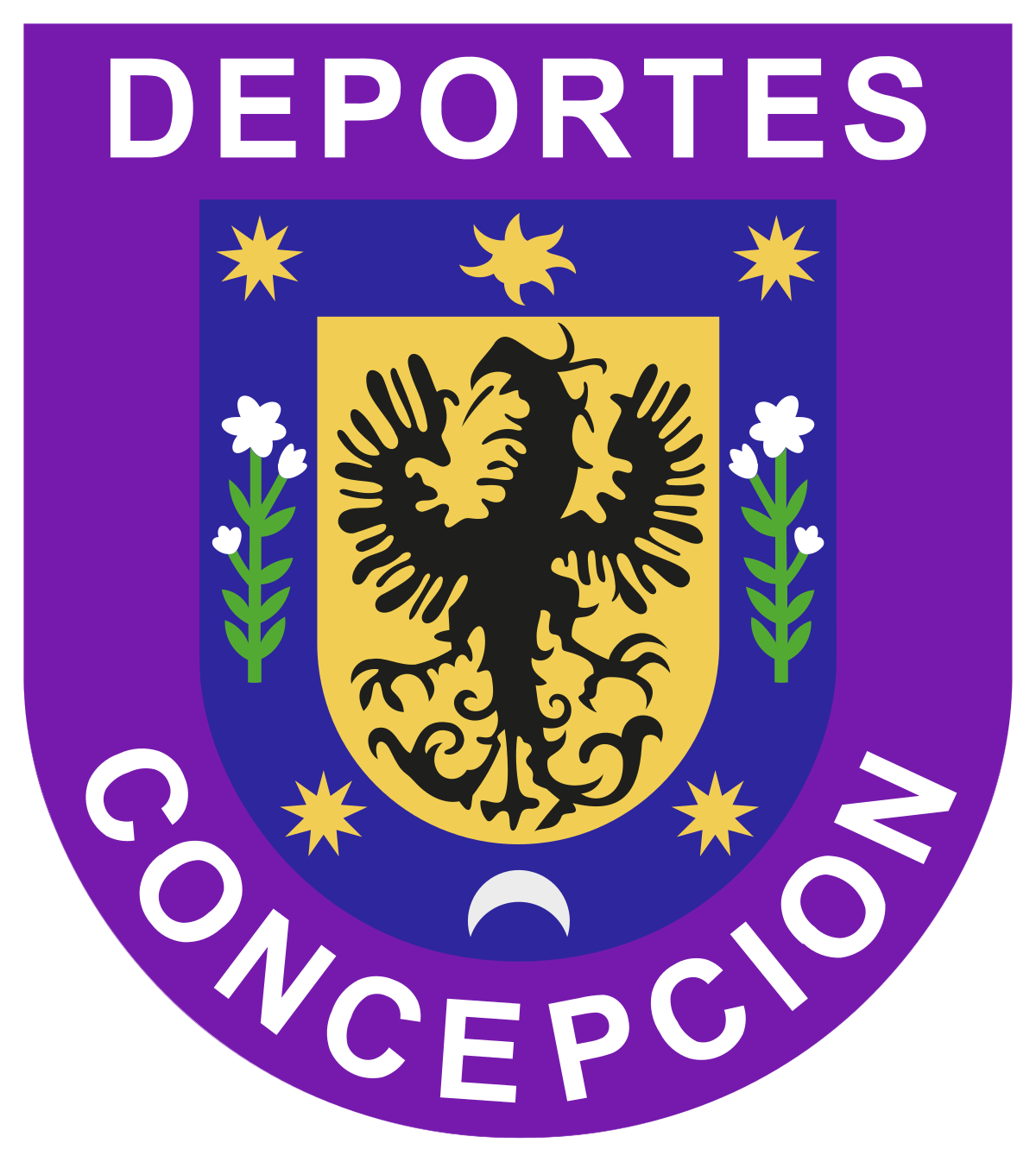 Deportes Concepción