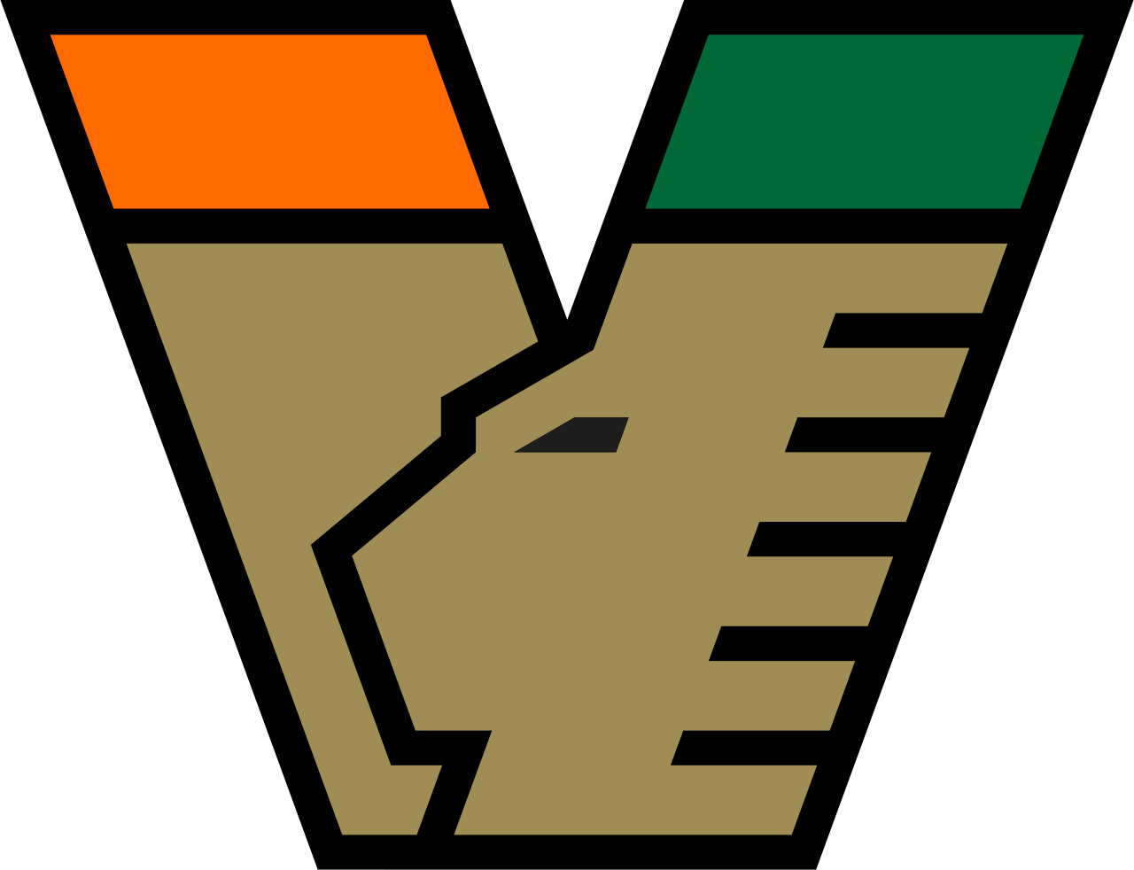 FC Venezia